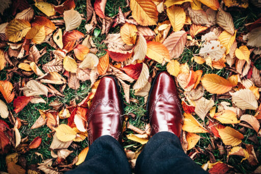 Zo maak je je tuin klaar voor de herfst! (Deel 1)