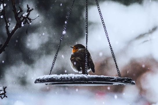 Winters zithoekje