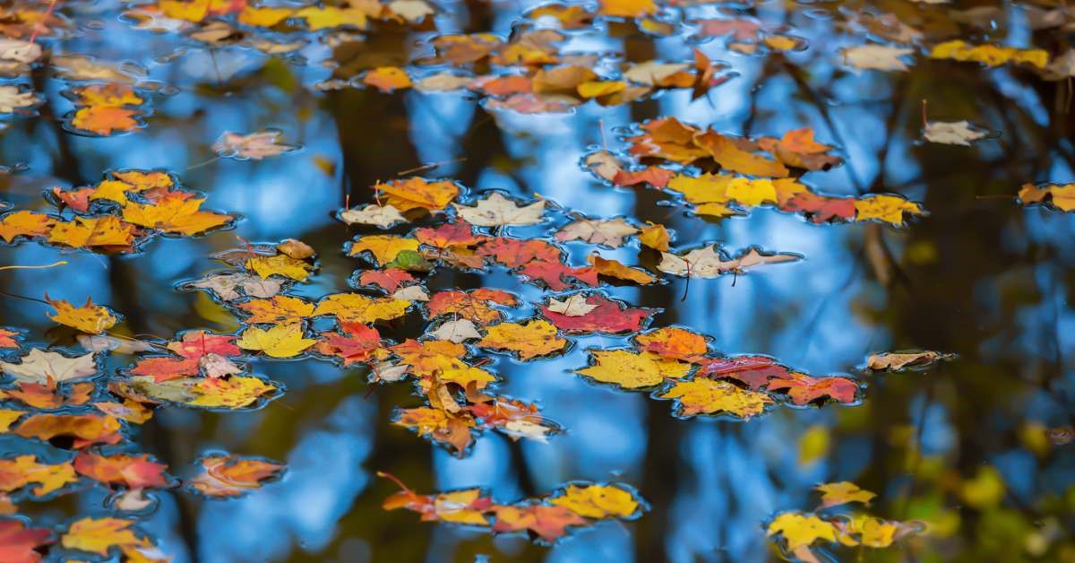 herfst