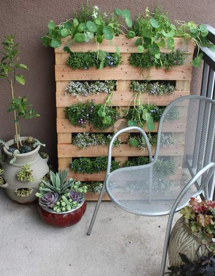 Hergebruik van spullen voor je planten